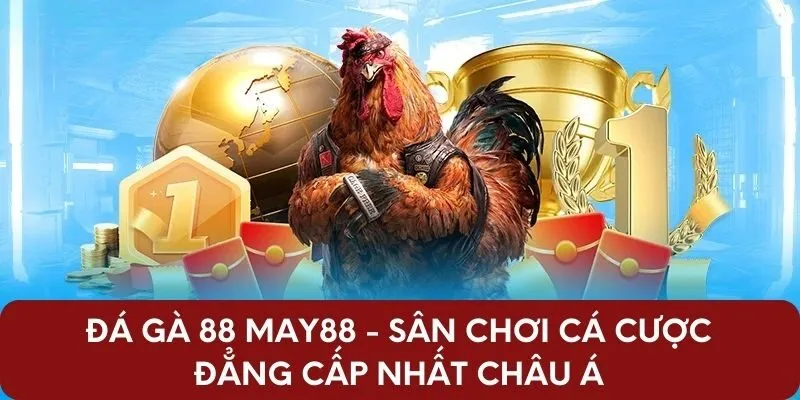 Đá Gà 88 May88 - Sân Chơi Cá Cược Đẳng Cấp Nhất Châu Á