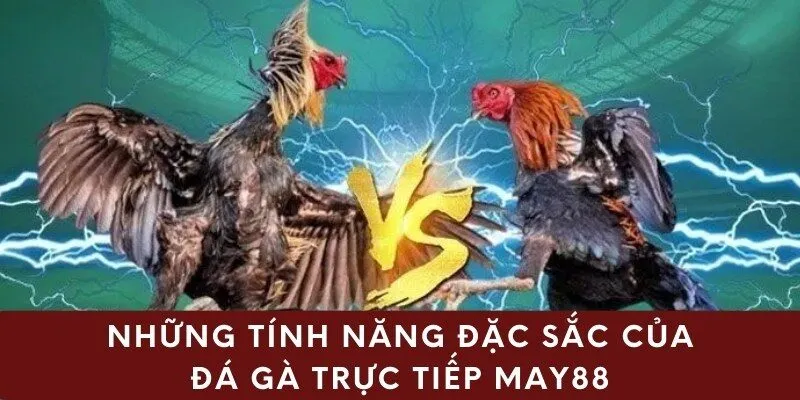 Những tính năng đặc sắc của đá gà trực tiếp may88