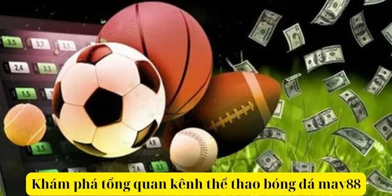 Khám phá tổng quan kênh thể thao bóng đá may88