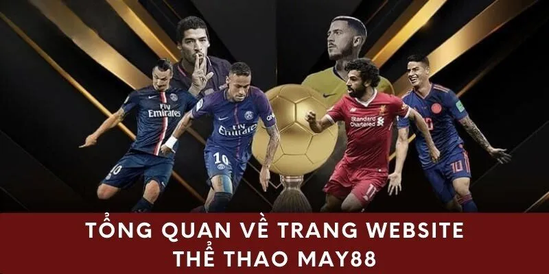 Tổng quan về trang website thể thao May88